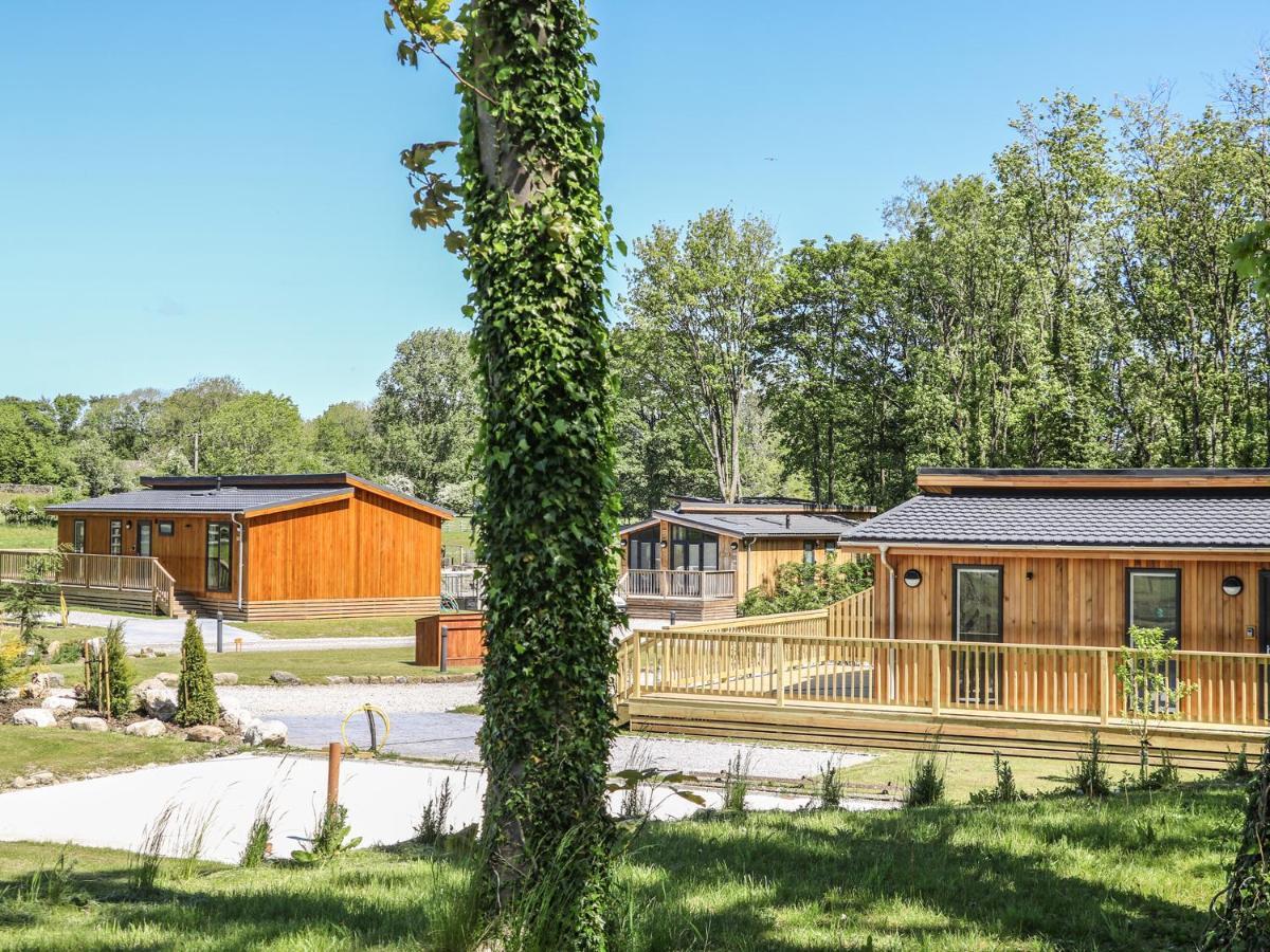Squirrel Lodge 斯基普顿 外观 照片